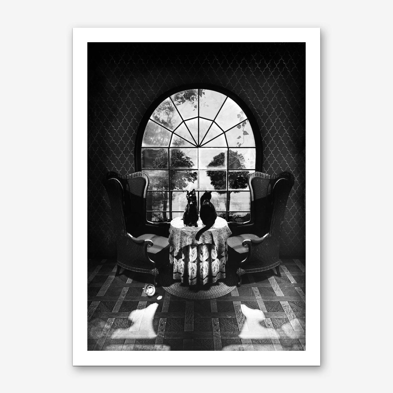 Black and white photography print